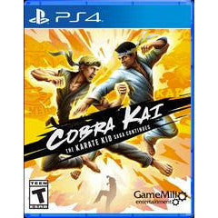 Cobra Kai: The Karate Kid Saga Continues - Playstation 4 Havelock, NC / Cart with Box