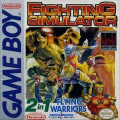 2 In 1: Flying Warriors / Fighting Simulator - GameBoy PBVG - JACKSONVILLE / Loose