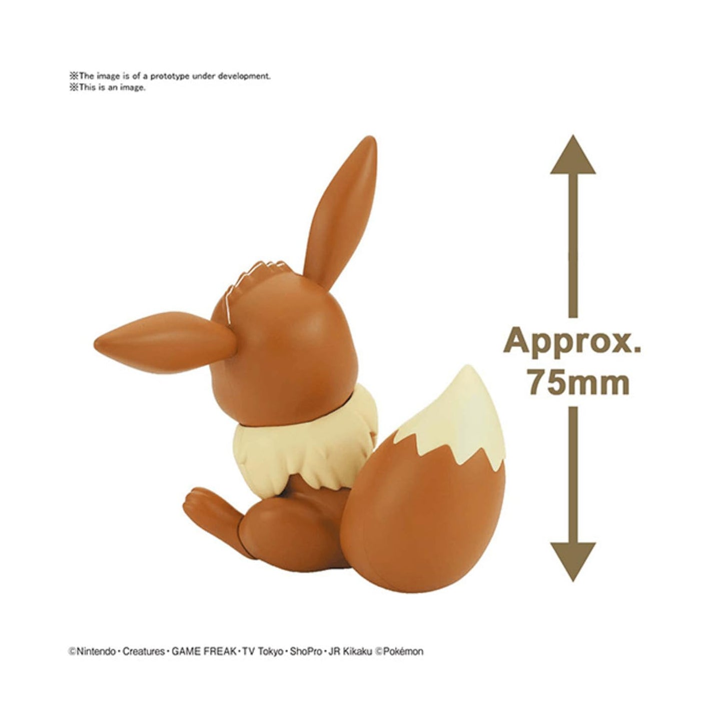 Bandai: Pokemon Eevee Quick Model Kit - Model Kits